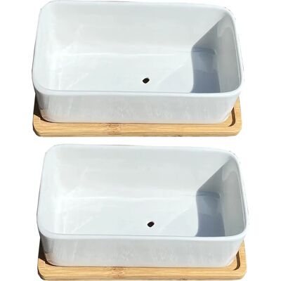 Selections - White Succulent Cactus Trough - Set 2 - Plant Pots Selections - White Succulent Cactus Trough - Set 2 - Plant Pots