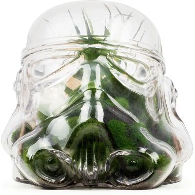 Stormtrooper Kypärä Terrarium - Star Wars Sisustus Stormtrooper Kypärä Terrarium - Star Wars Sisustus