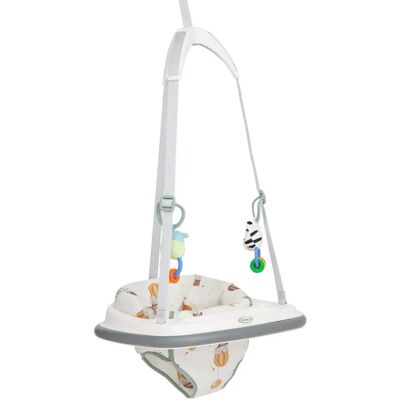 Graco Baby Jumper - Adjustable Doorway Baby Jumper & Bumper Jumper Graco Baby Jumper - Adjustable Doorway Baby Jumper & Bumper Jumper