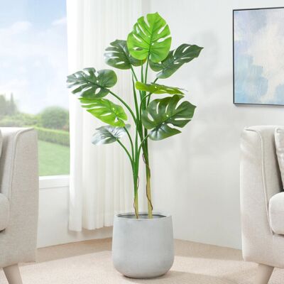 MCC - Monstera 110cm - Plastic Planter - Plant MCC - Monstera 110cm - Plastic Planter - Plant