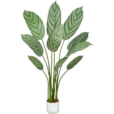 MCC - Bird of Paradise Tree - 110 cm - Planter Moss MCC - Bird of Paradise Tree - 110 cm - Planter Moss