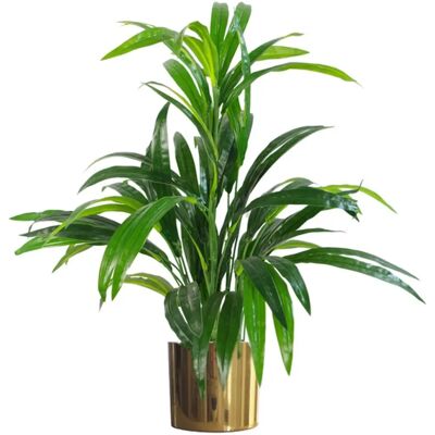Leaf Design UK - 65cm Artificial Large Leaf Bamboo Shrub - Plant Leaf Design UK - 65cm Artificial Large Leaf Bamboo Shrub - Plant