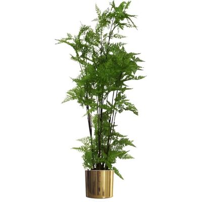 Leaf - Fern 150cm - Green - Gold Metal Planter - Artificial Plant Leaf - Fern 150cm - Green - Gold Metal Planter - Artificial Plant