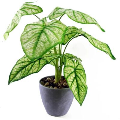 Leaf 40cm Kunstmatige Taro in Decoratieve Pot - Kunstplant Leaf 40cm Kunstmatige Taro in Decoratieve Pot - Kunstplant