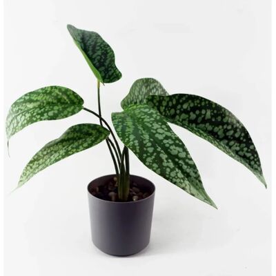 Leaf 35cm Artificial Spotted Plant in Planter - Artificial Plant Leaf 35cm Artificial Spotted Plant in Planter - Artificial Plant