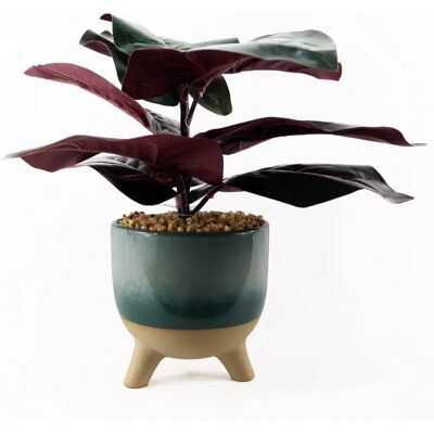 Leaf Design UK Limited 35cm Ficus Artificial Plant - Blue Ceramic Planter - Artificial Plant Leaf Design UK Limited 35cm Ficus Artificial Plant - Blue Ceramic Planter - Artificial Plant