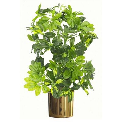 Leaf 75cm Artificial Arboricola Gold Capella Plant - Gold Metal Planter - Artificial Plant Leaf 75cm Artificial Arboricola Gold Capella Plant - Gold Metal Planter - Artificial Plant