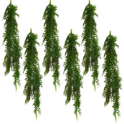 Leaf 6 x 100cm Hanging String of Pearls Fern Plant - Plant Leaf 6 x 100cm Hanging String of Pearls Fern Plant - Plant