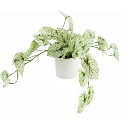 Leaf 30cm Artificial Trailing Plant Variegated Alocasia - Artificial Plant Leaf 30cm Artificial Trailing Plant Variegated Alocasia - Artificial Plant