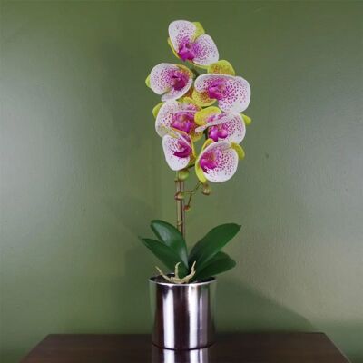 Leaf Harlequin Pink Artificial Orchid - 46cm, Silver Pot Leaf Harlequin Pink Artificial Orchid - 46cm, Silver Pot