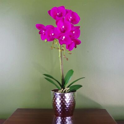 Leaf 50cm Phalaenopsis Orchid Artificial - Dark Pink - Artificial Orchid - Unisex Leaf 50cm Phalaenopsis Orchid Artificial - Dark Pink - Artificial Orchid - Unisex