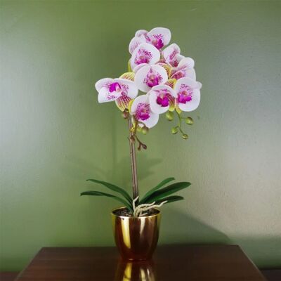 Leaf 48cm Harlequin Orchid Artificial - Pink with Gold Pot - Artificial Orchid Leaf 48cm Harlequin Orchid Artificial - Pink with Gold Pot - Artificial Orchid