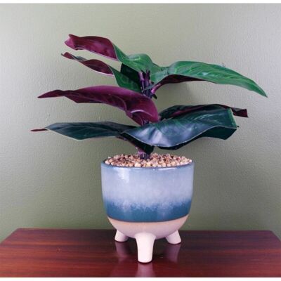 Leaf 35cm Artificial Ficus Plant - Unisex - Blue Green Ceramic Planter Leaf 35cm Artificial Ficus Plant - Unisex - Blue Green Ceramic Planter