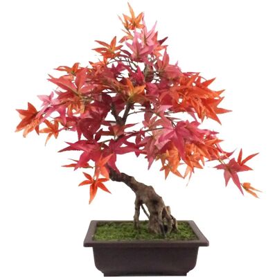 Leaf 50cm Red Artificial Maple Bonsai Tree - Silk Leaves, Moulded Plastic Pot - Artificial Bonsai Leaf 50cm Red Artificial Maple Bonsai Tree - Silk Leaves, Moulded Plastic Pot - Artificial Bonsai