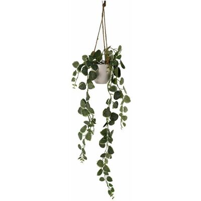 Leaf - String of Hearts - 90 cm - hanging - potted - plant Leaf - String of Hearts - 90 cm - hanging - potted - plant