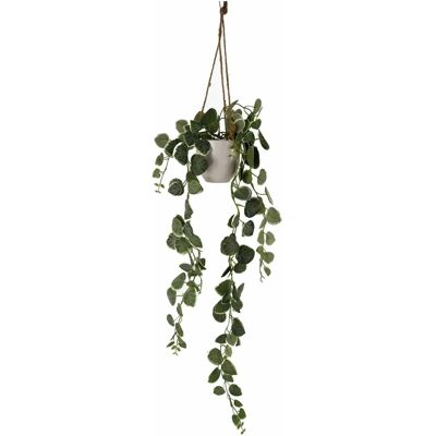 Leaf - String of Hearts - 90 cm - hanging - potted - plant Leaf - String of Hearts - 90 cm - hanging - potted - plant