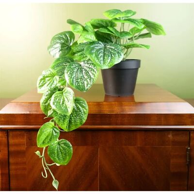 Leaf 35cm Artificial Trailing Potted Pothos Plant - Artificial Potted Plant Leaf 35cm Artificial Trailing Potted Pothos Plant - Artificial Potted Plant