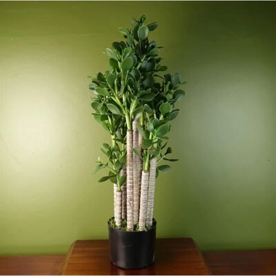 Leaf Leaf Artificial Green Jade Plant 75cm Large Size Weighted Plastic Pot Leaf Leaf Artificial Green Jade Plant 75cm Large Size Weighted Plastic Pot