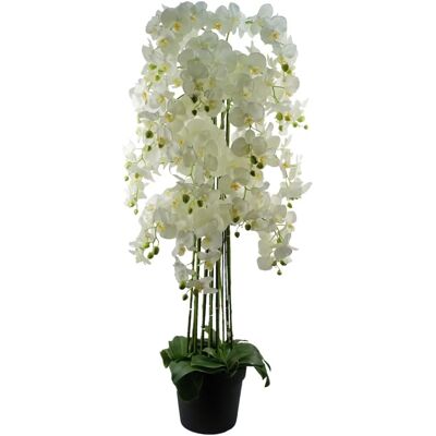 Leaf Giant White Orchid Plant - Artificial - 189 Real Touch Flowers - Unisex Leaf Giant White Orchid Plant - Artificial - 189 Real Touch Flowers - Unisex