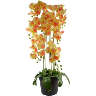 Leaf 110cm Yellow Peach Orchid Plant - Artificial - 41 Real Touch Flowers - Unisex Leaf 110cm Yellow Peach Orchid Plant - Artificial - 41 Real Touch Flowers - Unisex