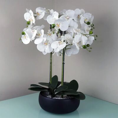 Leaf Design UK - 60cm Orchid White - Black Ceramic Planter Leaf Design UK - 60cm Orchid White - Black Ceramic Planter