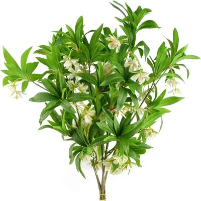 Leaf Elaeocarpus Stem - 6 Pack - 90cm - Artificial Foliage Leaf Elaeocarpus Stem - 6 Pack - 90cm - Artificial Foliage