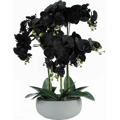 Leaf 60cm Black & White Ceramic Orchid Planter - Planter Leaf 60cm Black & White Ceramic Orchid Planter - Planter
