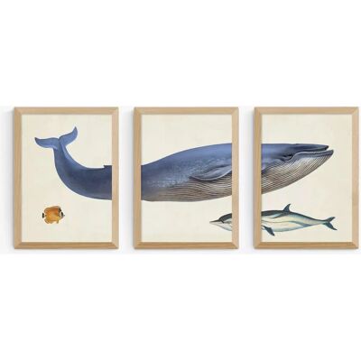 East End Prints - Whale - Set of 3 - Framed Print East End Prints - Whale - Set of 3 - Framed Print