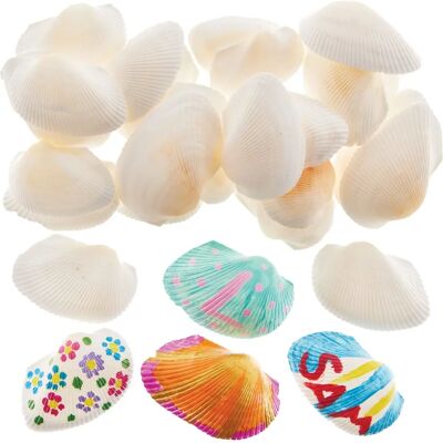 Unbekannt Modell Muscheln - Bastelmaterial Unbekannt Modell Muscheln - Bastelmaterial