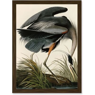 Artery8 - Audubon Birds Great Blue Heron - A4 - Wall Art Artery8 - Audubon Birds Great Blue Heron - A4 - Wall Art
