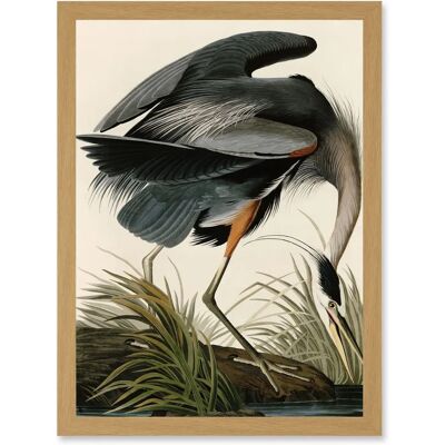 Artery8 - Audubon Birds Great Blue Heron - A4 - Light Oak - Framed Wall Art Artery8 - Audubon Birds Great Blue Heron - A4 - Light Oak - Framed Wall Art