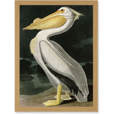 Artery8 - Audubon Birds White Pelican Painting - A4 - Light Oak - Framed Wall Art Artery8 - Audubon Birds White Pelican Painting - A4 - Light Oak - Framed Wall Art