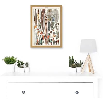 Artery8 - Millot Encyclopedia - A4 - Framed - Wall Art Print Artery8 - Millot Encyclopedia - A4 - Framed - Wall Art Print