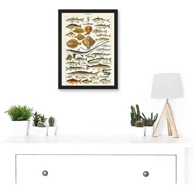 Artery8 - Millot Encyclopedia - Black - A4 - Framed Wall Art Artery8 - Millot Encyclopedia - Black - A4 - Framed Wall Art