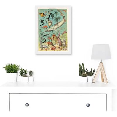 Artery8 - Millot Encyclopedia - White - A4 - Framed Wall Art Artery8 - Millot Encyclopedia - White - A4 - Framed Wall Art