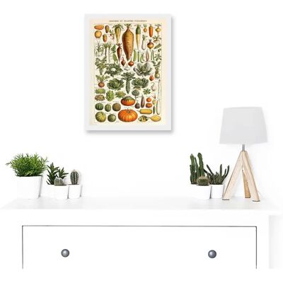 Artery8 - Millot Encyclopedia - A4 - Framed - Wall Art Print Artery8 - Millot Encyclopedia - A4 - Framed - Wall Art Print