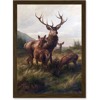 Artery8 - Deiker Stag - Brown - A4 - Wall Art Artery8 - Deiker Stag - Brown - A4 - Wall Art