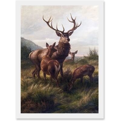 Artery8 - Deiker Stag Deer Antlers Doe - Framed Wall Art Artery8 - Deiker Stag Deer Antlers Doe - Framed Wall Art
