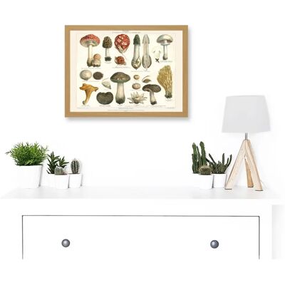 Artery8 - Meyers Fungus Mushrooms - Framed Wall Art Print Artery8 - Meyers Fungus Mushrooms - Framed Wall Art Print