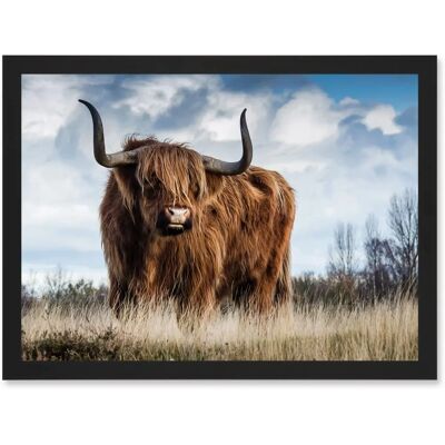 Artery8 - Scottish Highland Cow Hairy Coo - A4 Artery8 - Scottish Highland Cow Hairy Coo - A4