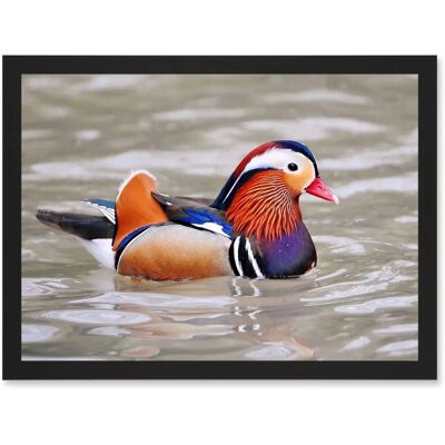 Artery8 - Mandarin Duck Artwork - Framed - A4 - Wall Art Artery8 - Mandarin Duck Artwork - Framed - A4 - Wall Art