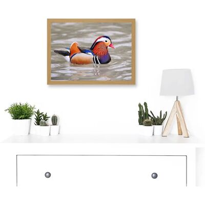 Artery8 - Mandarin Duck Artwork - Light Oak - A4 Framed Wall Art Artery8 - Mandarin Duck Artwork - Light Oak - A4 Framed Wall Art