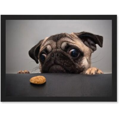 Artery8 - Animal Photo Pug - Framed A4 Wall Art Print Artery8 - Animal Photo Pug - Framed A4 Wall Art Print