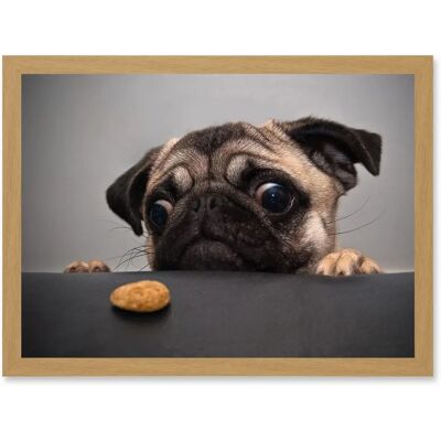 Artery8 - Animal Photo Pug - Light Oak - Framed Wall Art Print Artery8 - Animal Photo Pug - Light Oak - Framed Wall Art Print