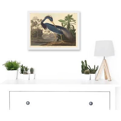 Artery8 - Audubon Louisiana Heron - White - Wall Art Artery8 - Audubon Louisiana Heron - White - Wall Art