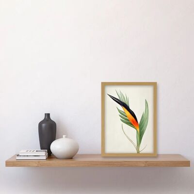 Artery8 - Tropical Bird of Paradise - Gold - A4 - Art print Artery8 - Tropical Bird of Paradise - Gold - A4 - Art print