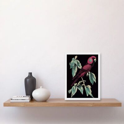 Artery8 - Burgundy Parakeet - A4 - White Frame - Framed Wall Art Print Artery8 - Burgundy Parakeet - A4 - White Frame - Framed Wall Art Print