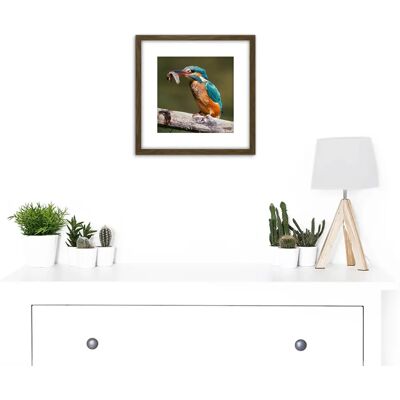 Artery8 Dalous Kingfisher - 8x8 inch wooden framed Wall Art Artery8 Dalous Kingfisher - 8x8 inch wooden framed Wall Art