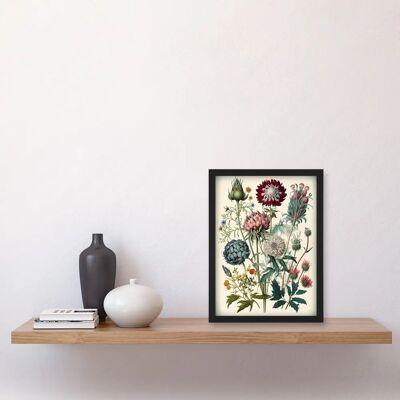 Artery8 - Ernst Haeckel Botanical - Vintage - Watercolour - Wall Art Artery8 - Ernst Haeckel Botanical - Vintage - Watercolour - Wall Art