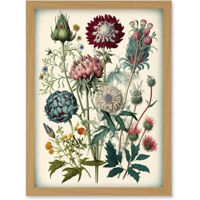 Artery8 - Ernst Haeckel Style Botanical - A4 - light oak - Framed Wall art Artery8 - Ernst Haeckel Style Botanical - A4 - light oak - Framed Wall art
